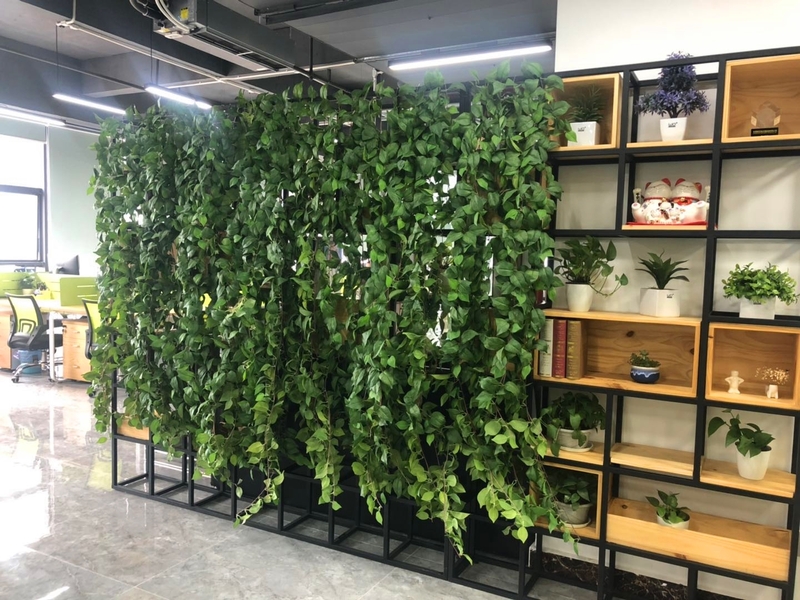 微信图片_20190617142604.jpg